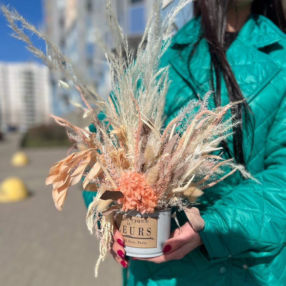 кортадерией кортадерией